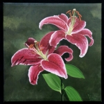 Pink Lilies