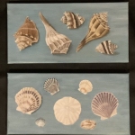 Shells