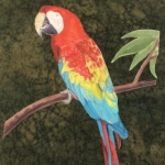 Parrot